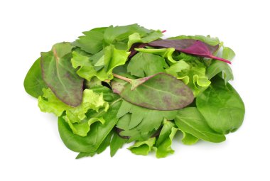 karışık taze salata yaprakları
