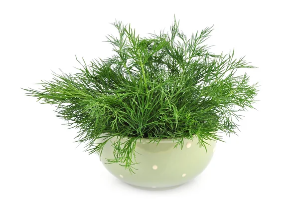 Fennel — Stock Photo, Image