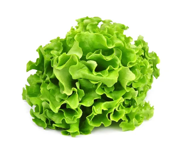 Kopfsalat — Stockfoto