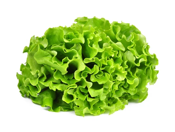 Lechuga — Foto de Stock