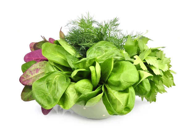 Mixed lettuce — Stock Photo, Image