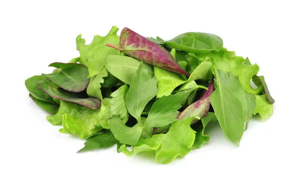 Змішане свіже листя салату — стокове фото