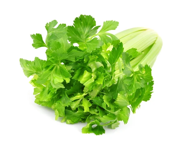 Fresh green celery — Stock Photo, Image