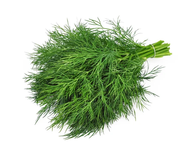 Fenchel lizenzfreie Stockbilder