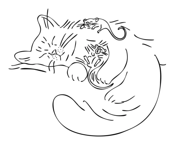 Cat Mice Cat Sleeping Two Mice Outline Style — 图库矢量图片