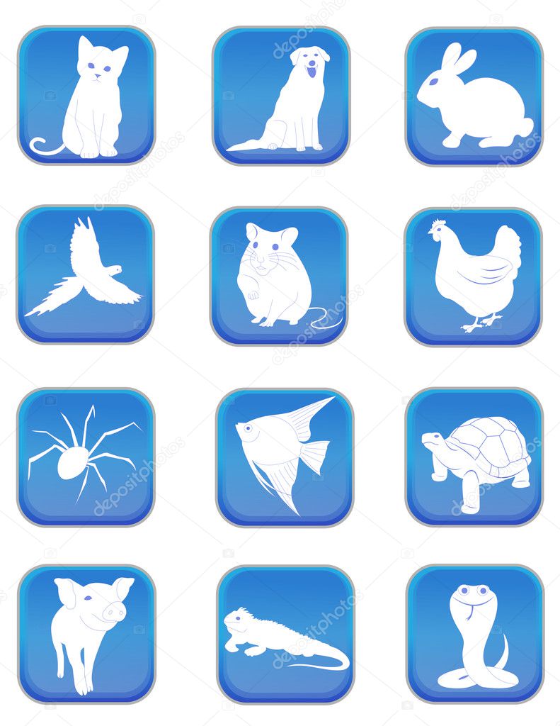 Pet icons