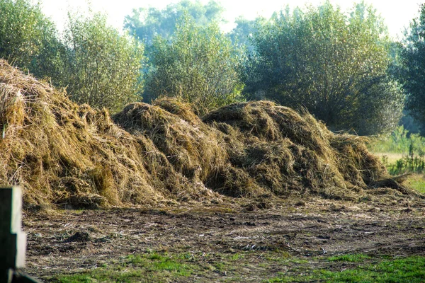 Dungheap gödsel lugg Stockfoto