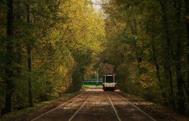 трамвай осень