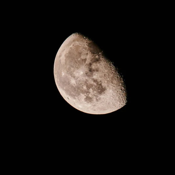 autumn moon against a dark sky