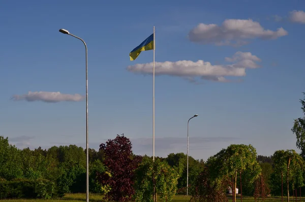 Oekraïense Vlag Een Dorp Letland — Stockfoto