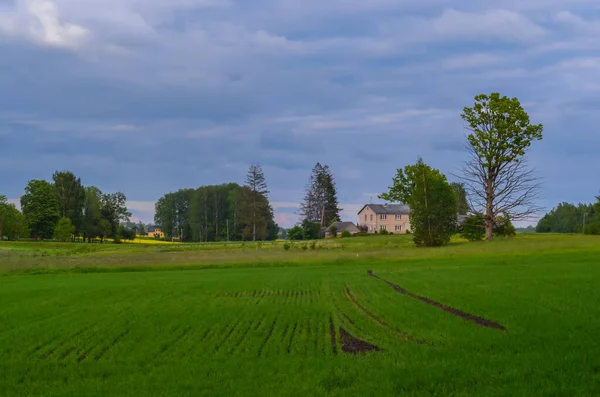 Blick Auf Das Bauernhaus Über Das Feld — Stockfoto