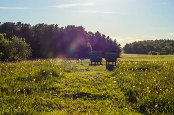 Ruhige Dorfstraßen Lettland — Stockfoto