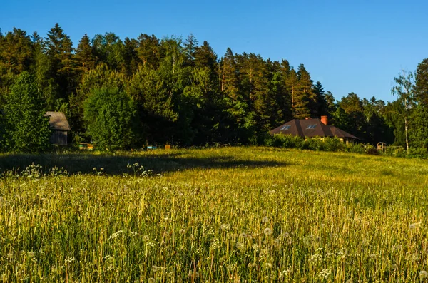 Ruhige Dorfstraßen Lettland52 — Stockfoto