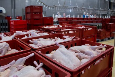 Yarı bitmiş ördek ürünleri üretimine bir gezi. Kesmeden paketlemeye tam döngü
