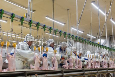 Yarı bitmiş ördek ürünleri üretimine bir gezi. Kesmeden paketlemeye tam döngü