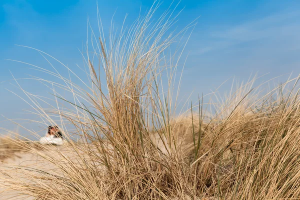 Natuurlijke bruiloft — Stockfoto