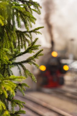 Demiryolu rayları ve buhar lokomotifinin bulanık arkaplanındaki kozalaklı ağaç dalları (boşluğu kopyala)