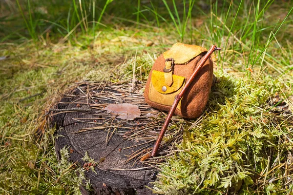 Nostalgický Miniaturní Batoh Vycházková Hůl Mechem Porostlém Stromě Lesním Pozemku — Stock fotografie