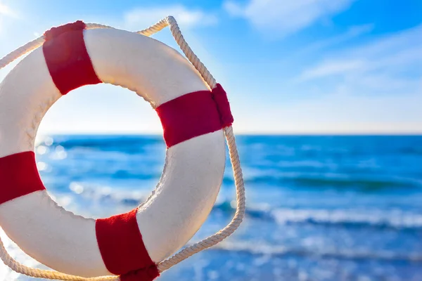 View Nostalgic Life Buoy Decoration Sea Horizon Copy Space Royalty Free Stock Images