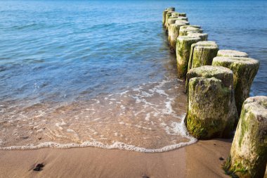 Alman Baltık Denizi kıyısında (kopyalama uzayı) ahşap işlemeli Groyne sıraları)