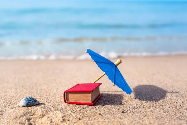 Yaz Plajı Nostaljisi Minyatür Nesneler Deniz Kabuğu Güneş Işığı Kitap — Stok fotoğraf