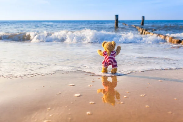 Little Teddy Bear Enjoy Waves Sea Summer Beach Shore Reflection — Fotografia de Stock