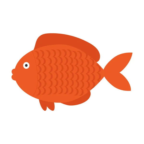 Pescado rojo sobre fondo blanco para su uso en clipart — Archivo Imágenes Vectoriales