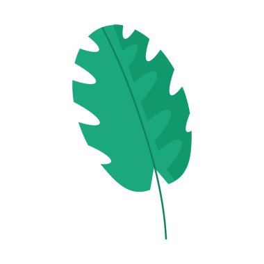 Web tasarımı için beyaz bir fotoğraf üzerinde geniş bir palmiye dalı