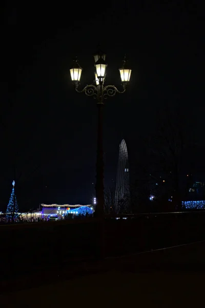 Фонарь Светит Ночью Парке Киева — стоковое фото