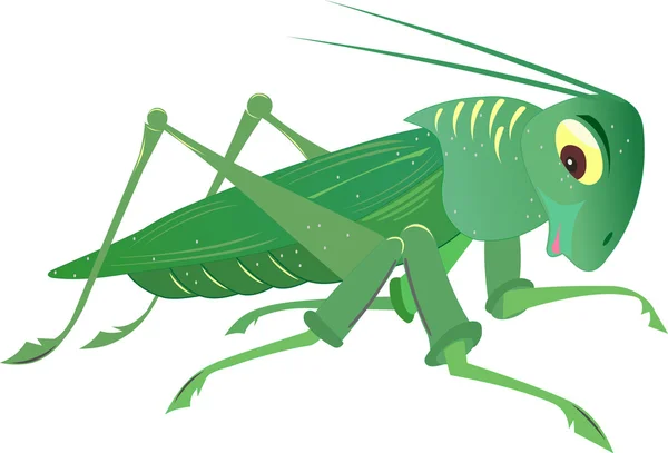 Insect — Stock Vector