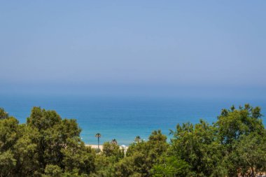 Ufukta gökyüzü ile birleşen sakin denizin üst görüntüsü. Ön planda ağaçlar ve bir plaj var. Manzara, arka plan olarak kullanılabilir, hafif bulanık.