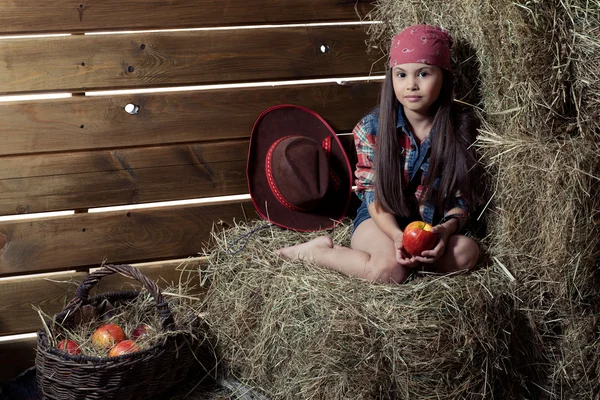 Girl in barn Royalty Free Stock Photos