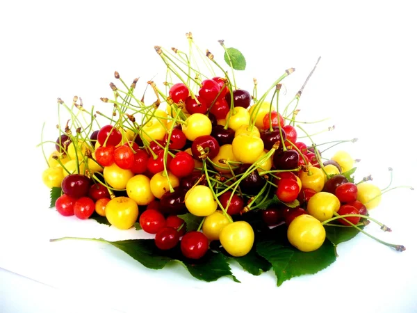 Types of cherries — Stock Photo, Image