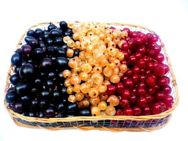 Basket with berries — Stock Photo, Image