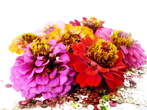 Postcard with summer flowers — Stock Photo, Image