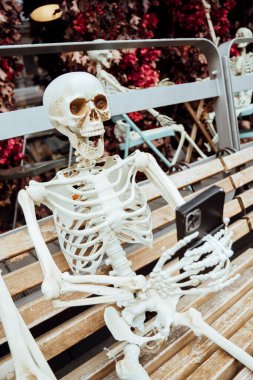 Cadılar Bayramı için dekorasyonlar.