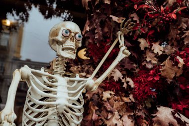 Cadılar Bayramı için dekorasyonlar.