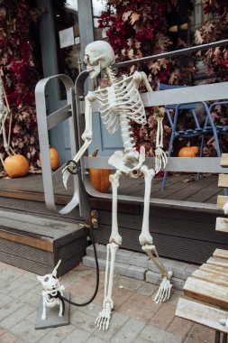 Cadılar Bayramı için dekorasyonlar.