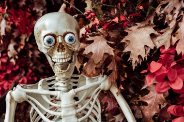 Cadılar Bayramı için dekorasyonlar.