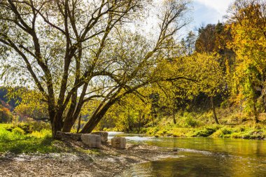 Tuna Nehri Yukarı Tuna Vadisi 'nde Fridingen an der Donau, Baden-Wuerttemberg, Almanya