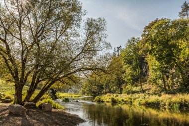Tuna Nehri Yukarı Tuna Vadisi 'nde Fridingen an der Donau, Baden-Wuerttemberg, Almanya