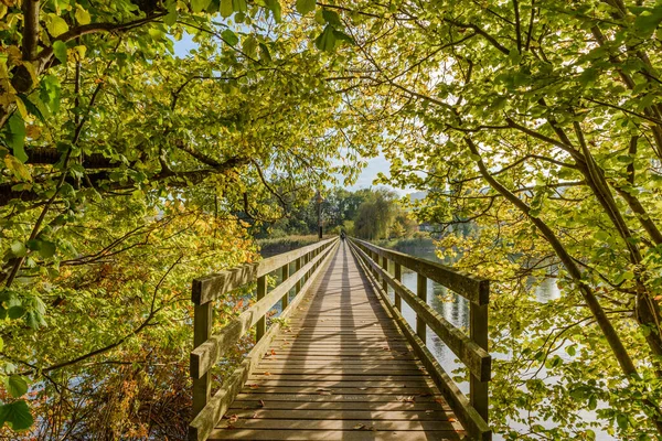 Drewniany Most Nad Renem Wyspy Klasztornej Werd Eschenz Canton Thurgau — Zdjęcie stockowe