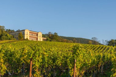 Edenkoben yakınlarındaki Villa Ludwigshoe 'ya, açık, mavi gökyüzüne, Rhineland-Palatinate, Almanya' ya bakın.