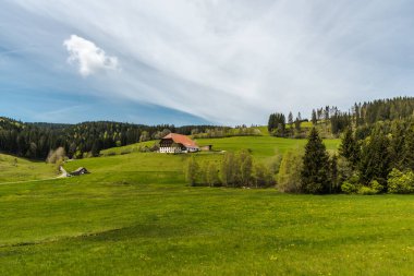 Black Forest, Jostal, Titisee-Neustadt, Baden-Wuerttemberg, Almanya 'daki geleneksel çiftlik evi