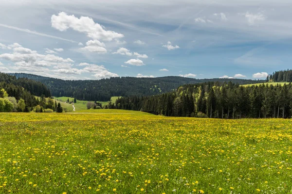 Scenic View Landscape Black Forest Jostal Titisee Neustadt Baden Wuerttemberg — Stock Fotó