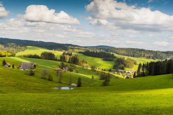 Landscape Black Forest Traditional Farm Houses Blooming Flower Meadow Jostal — Fotografia de Stock