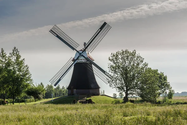 Traditionele Windmolen Wynhamster Kolk Rheiderland Oost Friesland — Stockfoto