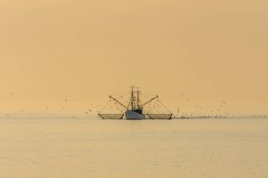 Kuzey Denizi 'nde balıkçı teknesi, Buesum, Schleswig-Holstein, Almanya  