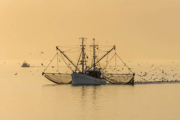 Fishing Trawler North Sea Buesum Schleswig Holstein Germany — Stock Photo, Image