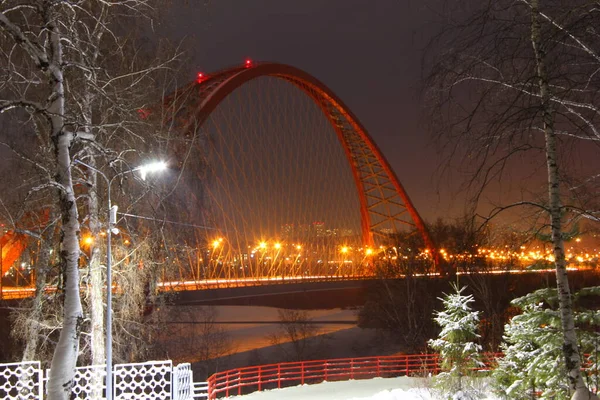 Red Arch Cable Stayed Bridge Winter Night Novosibirsk — Stockfoto